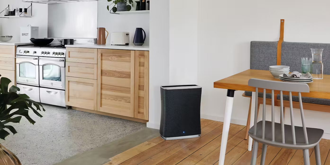 Stadler Form Roger air purifier in a kitchen